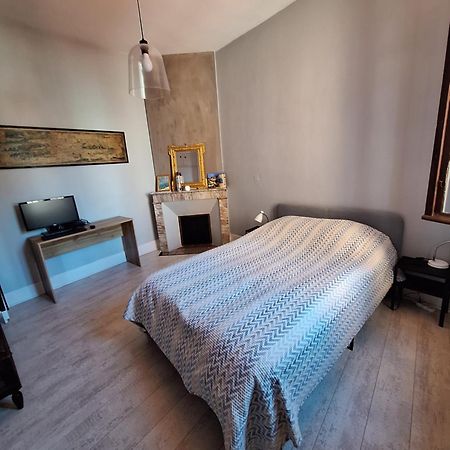 Appartement Pont Des Catalans Toulouse Eksteriør billede