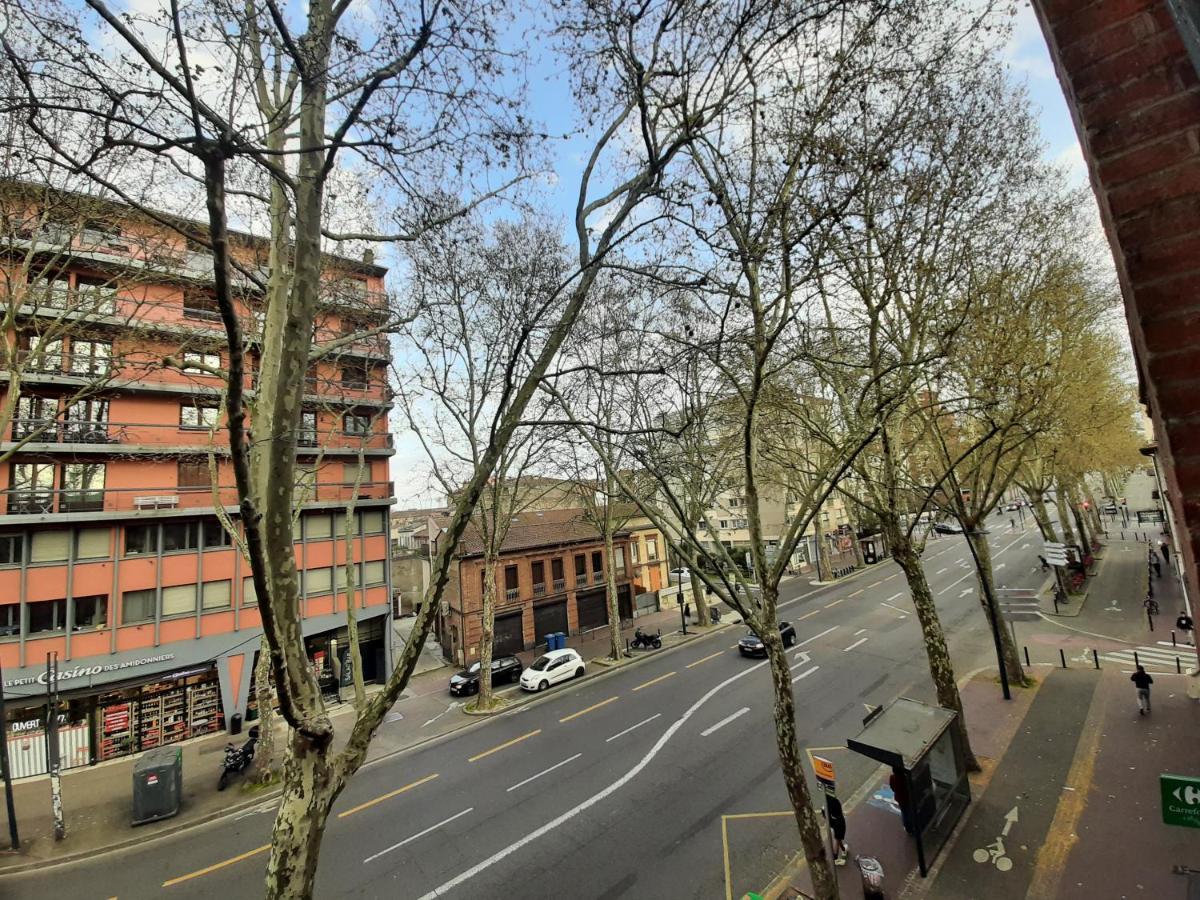 Appartement Pont Des Catalans Toulouse Eksteriør billede