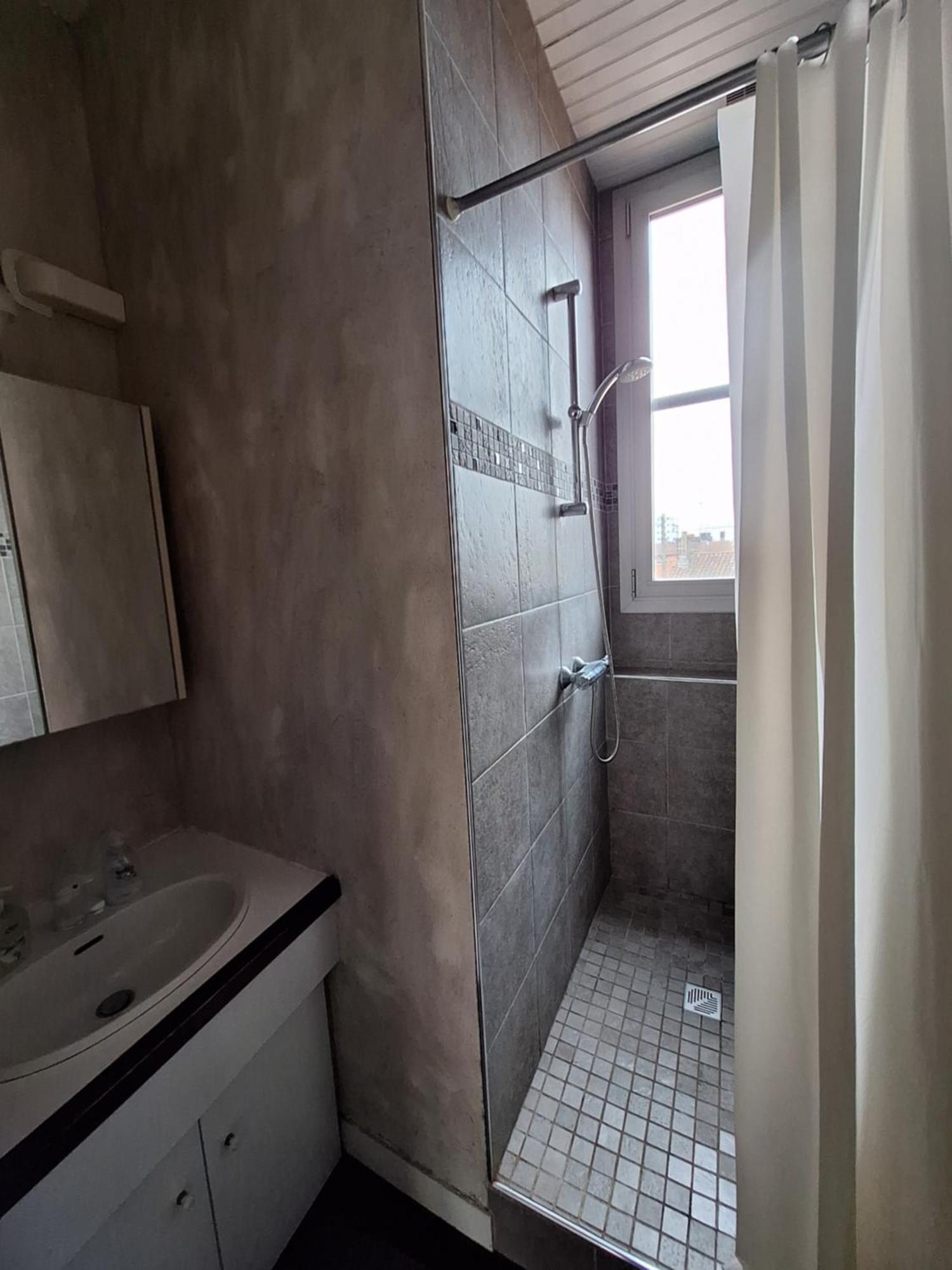 Appartement Pont Des Catalans Toulouse Eksteriør billede